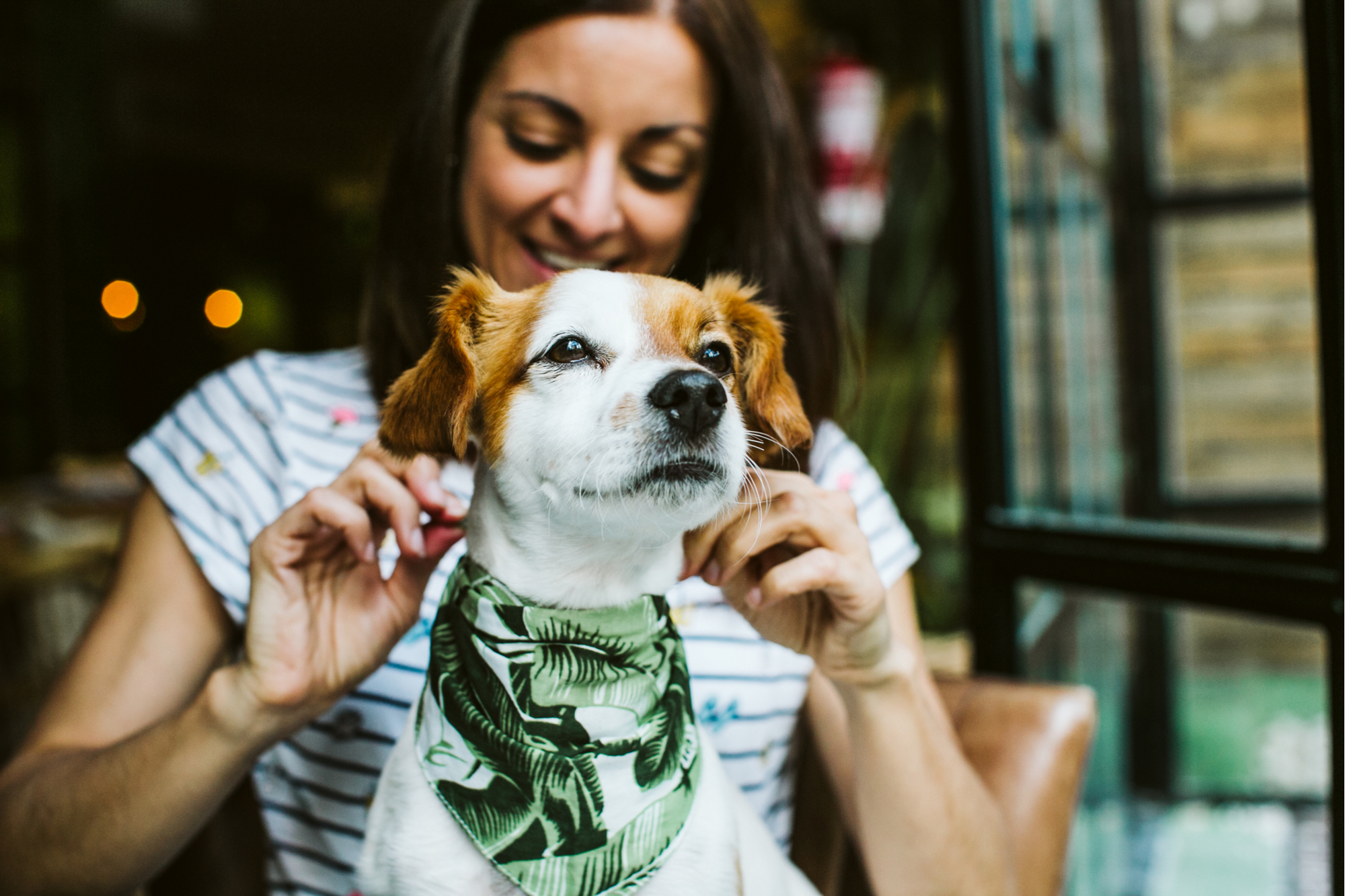 Pet friendly restaurants in the heights